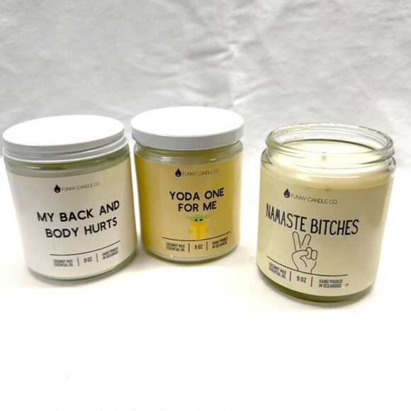 ⭐️NEW⭐️Set of 3 / Funny Candle Co. Coconut Wax 9oz Candles - Picture 1 of 5